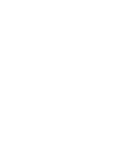Patriots Journey